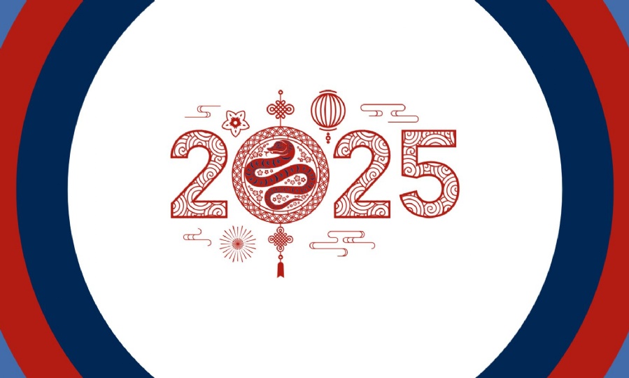 2025 year of the snake illustrated numbers